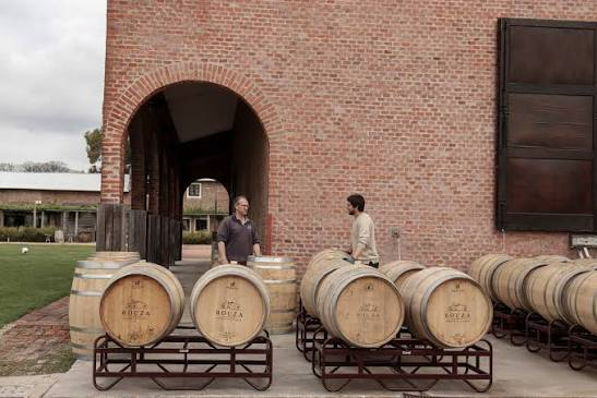 O que fazer em Montevidéu: roteiro completo com passeios e vinícolas imperdíveis 4 Vinícola Bodega Bouza, Uruguai - Foto: Reprodução